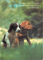 Chiens - CPM - Voir Scans Recto-Verso - Honden