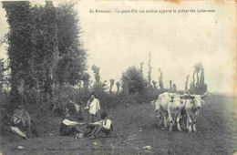 58 - Nièvre - En Nivernais - La Gente Fille Aux Maitres Apporte Le Gouter Des Laboureux - Animée - Paysans - Attelage De - Other & Unclassified