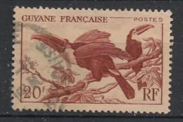 GUYANE - 1947 - N°YT. 215 - Toucan 20f - Oblitéré / Used - Gebruikt