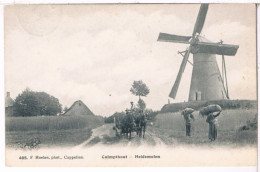 Pk. Calmpthout (Kalmpthout) - Heidemolen 1913 - Kalmthout