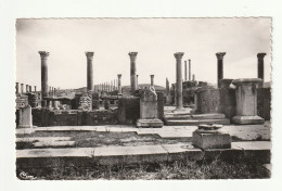 Algérie . Timgad . Ruines De La Ville Romaine  N°3000 Bis . - Autres & Non Classés