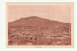 Algérie . Tipasa . Cimetière De Sainte Salsa - Sonstige & Ohne Zuordnung