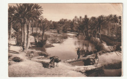 Algérie . Scènes Et Types . Pont Sur Un Oued . 1907 - Escenas & Tipos