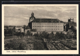 AK Zeitz, Schloss Moritzburg  - Zeitz
