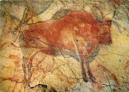 Art - Antiquité - Art Préhistorique - Peinture Préhistorique - Cuevas De Altamira - Bisonte Parado - Bison Arreté - CPM  - Antike