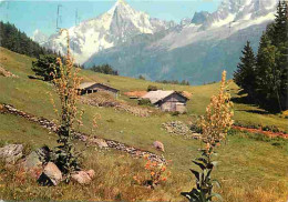 74 - Chamonix - Mont-Blanc - Au Pays Du Mont-Blanc - CPM - Voir Scans Recto-Verso - Chamonix-Mont-Blanc