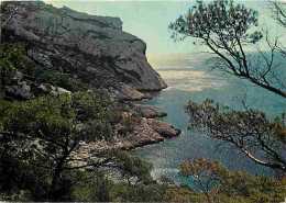 13 - Sormiou - La Calanque De Sormiou - CPM - Voir Scans Recto-Verso - Südbezirke, Mazargues, Bonneveine, Pointe Rouge, Calanque-Felsen