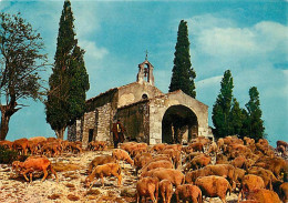 Animaux - Moutons - Provence - Symphonie Pastorale - Chapelle - CPM - Voir Scans Recto-Verso - Andere & Zonder Classificatie