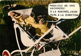 Animaux - Singes - Bébé Chimpanzé - Carte à Message - Carte Humoristique - CPM - Voir Scans Recto-Verso - Monkeys