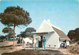 Animaux - Chevaux - Camargue - Cabane De Gardians Au Boucanet - Flamme Postale - Etat Trou De Punaise Visible - CPM - Vo - Paarden