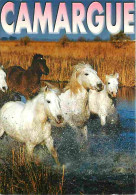 Animaux - Chevaux - Camargue - Chevaux Sauvages En Liberté - Voir Timbre - Voir Scans Recto Verso  - Chevaux