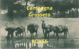 Toscana-grosseto L'abbeverata Campagna Toscana Anni 30 (f.piccolo/v.retro) - Grosseto