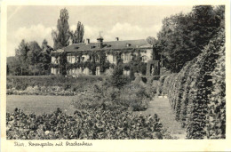 Drachenhaus Trier - Trier