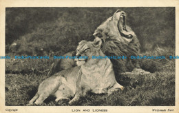 R629298 Whipsnade Park. Lion And Lioness. The Zoological Society Of London - Other & Unclassified