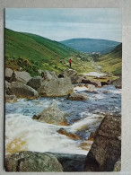 KOV 539-19 - WICKLOW BERGE BEI GLENDALOUGH - Sonstige & Ohne Zuordnung