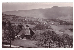 LESCHERAINES (carte Photo) - Sonstige & Ohne Zuordnung