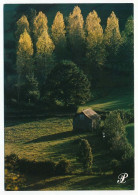 CPSM / CPM 10.5 X 15 Prestige BEARN  Lever De Soleil Sur La Cime Des Arbres Et D'une Maison Isolée - Languedoc-Roussillon