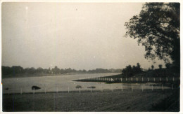 Real Photo Postcard Place To Identify Fence - A Identifier