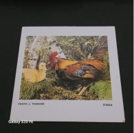 Image Bon Point   ** Studia  ** Animaux  **   Coq  ** Canard - Other & Unclassified