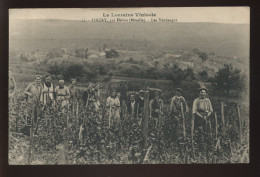 57 - TINCRY PAR DELME - LES VENDANGES - SERIE "LA LORRAINE VINICOLE" - Autres & Non Classés