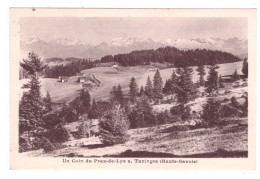 TANINGES Un Coin Du PRAZ DE LYS - Taninges