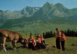 CPM - Im Schönen Obertoggenburg - Alp Iltios Bei Wildhaus-Unterwasser ... Edition Foto A. Eggenberger - Otros & Sin Clasificación