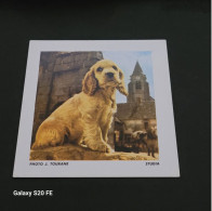 Image Bon Point   ** Studia  ** Animaux  **    Chiot - Other & Unclassified