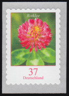 3663 Blume Rotklee 37 Cent, Selbstklebend, ** Postfrisch - Ongebruikt