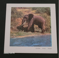 Image Bon Point   ** Studia  ** Animaux  **  Elephant - Andere & Zonder Classificatie