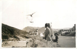 Real Photo Postcard Place To Identify Seagull And River - A Identificar