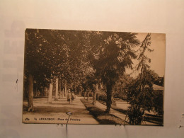 Arcachon - Place Des Palmiers - Arcachon