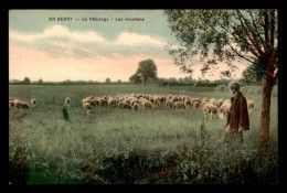 18 - SERIE EN BERRY - LE PATURAGE - LES MOUTONS - Autres & Non Classés