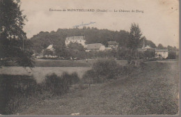 MONTBELIARD - CHATEAU DE DUNG - Montbéliard