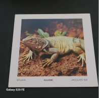 Image Bon Point   ** Studia  ** Animaux  **  Iguane - Sonstige & Ohne Zuordnung