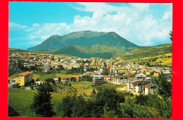 ITALIA - Abruzzo - Cartolina Viaggiata Anni 70 - Campo Di Giove (L'Aquila) - Panorama - Otros & Sin Clasificación