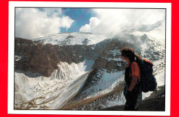 ITALIA - Abruzzo - Cartolina Viaggiata Nel 2003 - Campo Di Giove (L'Aquila) - Parco Nazionale Della Maiella - Other & Unclassified