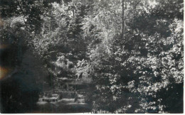 Real Photo Postcard Place To Identify Waterfall Forest - A Identifier