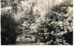 Real Photo Postcard Place To Identify Waterfall Forest - A Identificar