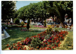 CPSM  10.5 X 15 Var  LE LAVANDOU  Les Jardins - Le Lavandou