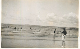Real Photo Postcard Place To Identify Beach Scene - To Identify
