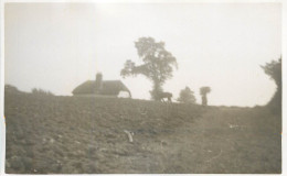 Real Photo Postcard Place To Identify Field Plowing - A Identificar