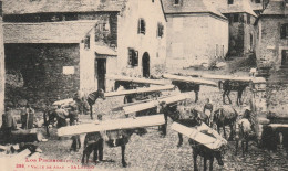 Vallée De Aran - SALARDO- Caravanes De Mules Pour Les Mines - Sonstige & Ohne Zuordnung