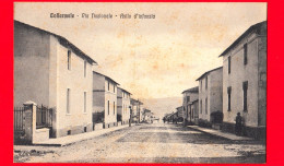 ITALIA - Abruzzo - Cartolina Viaggiata Nel 1956 - Collarmele (L'Aquila) - Via Nazionale - Asilo D'infanzia - Other & Unclassified