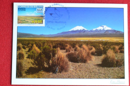 Bolivia Maxicard Volcano Payachatas Carte Maximum Volcan Bolivie" - Volcanos