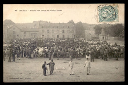 49 - CHOLET - MARCHE AUX BOEUFS DU SAMEDI - Cholet