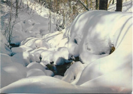 CPM. 39 LES ROUSSES (OBLITERATION). NEIGE ET SOLEIL. LE TORRENT. - Autres & Non Classés