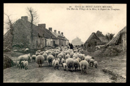 50 - MONT-SAINT-MICHEL - UNE RUE DU VILLAGE DE LA RIVE, DEPART DU TROUPEAU DE MOUTONS - Le Mont Saint Michel