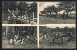 CPA Fretoy, Chevaux-Depot, Mehrfachansicht  - Other & Unclassified