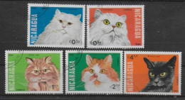 NICARAGUA   N° 1319/23    Oblitere Chats - Domestic Cats