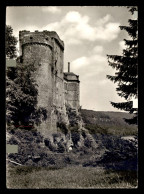 LUXEMBOURG - HOLLENFELS - LE CHATEAU - AUBERGE DE JEUNESSE - Autres & Non Classés